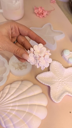 Etoile de mer et sa fleur monoï avec son parfum