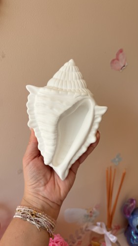 Grand coquillage à parfumer