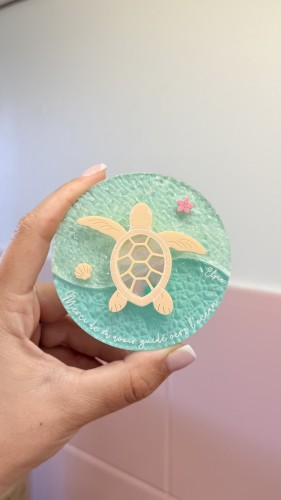 Tortue cadeau fin d'année